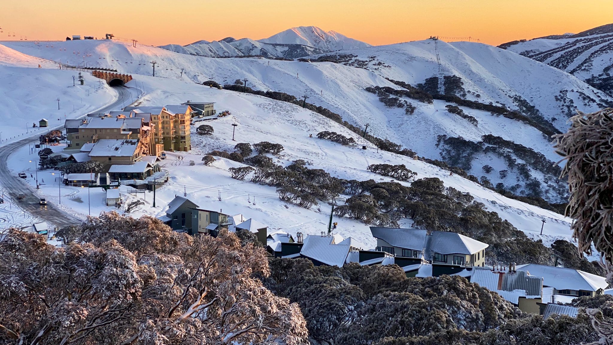 Sixty years on the mountain